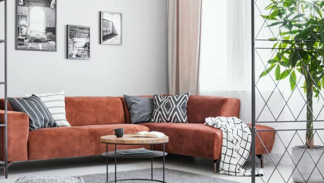 immobilie399594-ansicht-garten-g