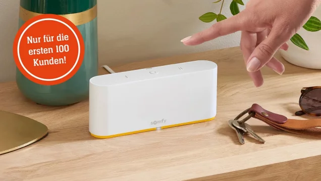 immobilie410213-ansicht-garten-g