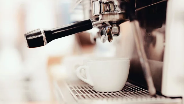 immobilie441283-ansicht-garten-g