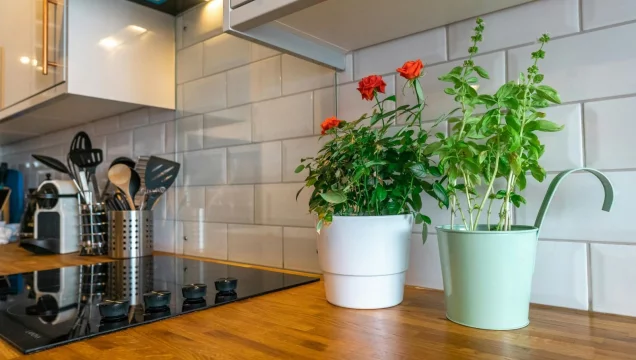 immobilie441811-ansicht-eingang-g