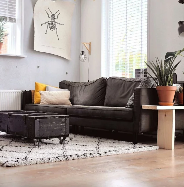 immobilie456497-moderner-wohnraum-mit-sofaecke-pflanzenvielfalt-und-klarer-struktur-g